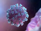 На лезвии ножа. Почему коронавирус в мире вновь идет в рост и спасет ли вакцинация