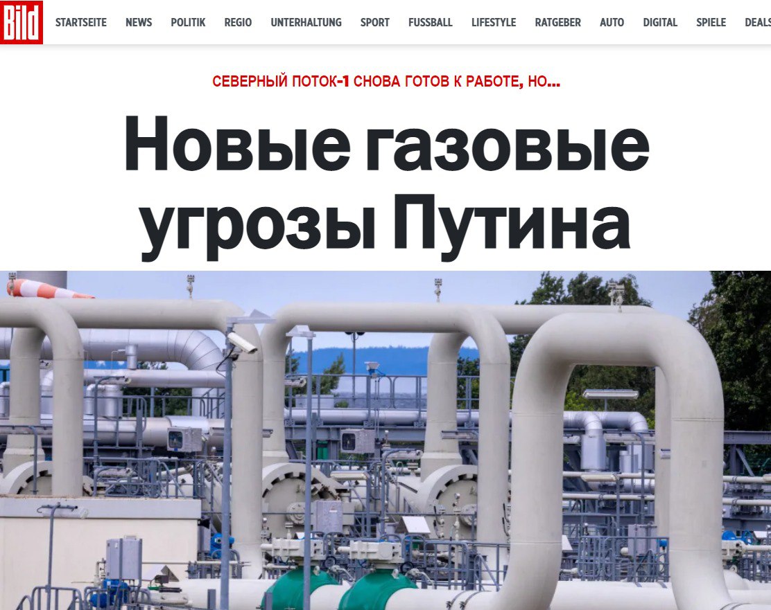 Скриншот с сайта Bild 