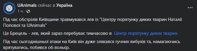 Скриншот из Телеграм UAnimals