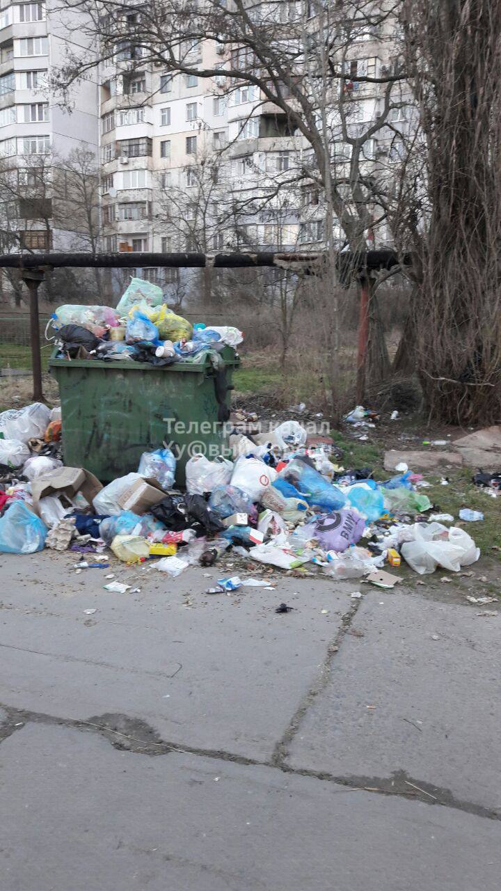 Херсон утопает в мусоре