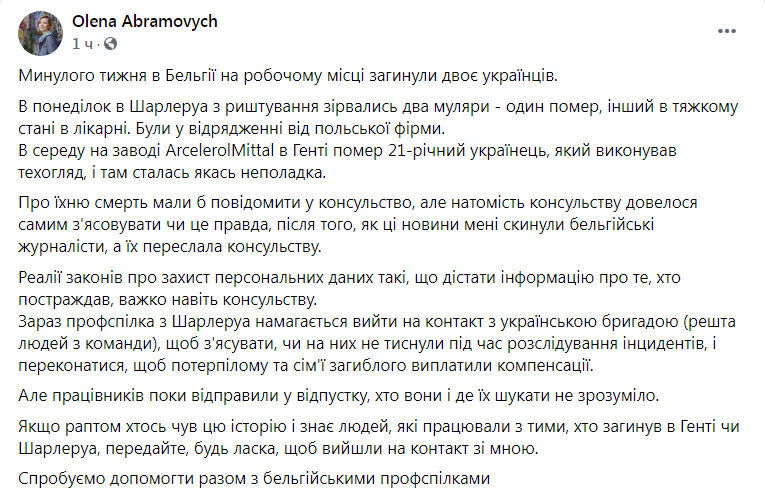 Скриншот из Фейсбука Елены Абромович