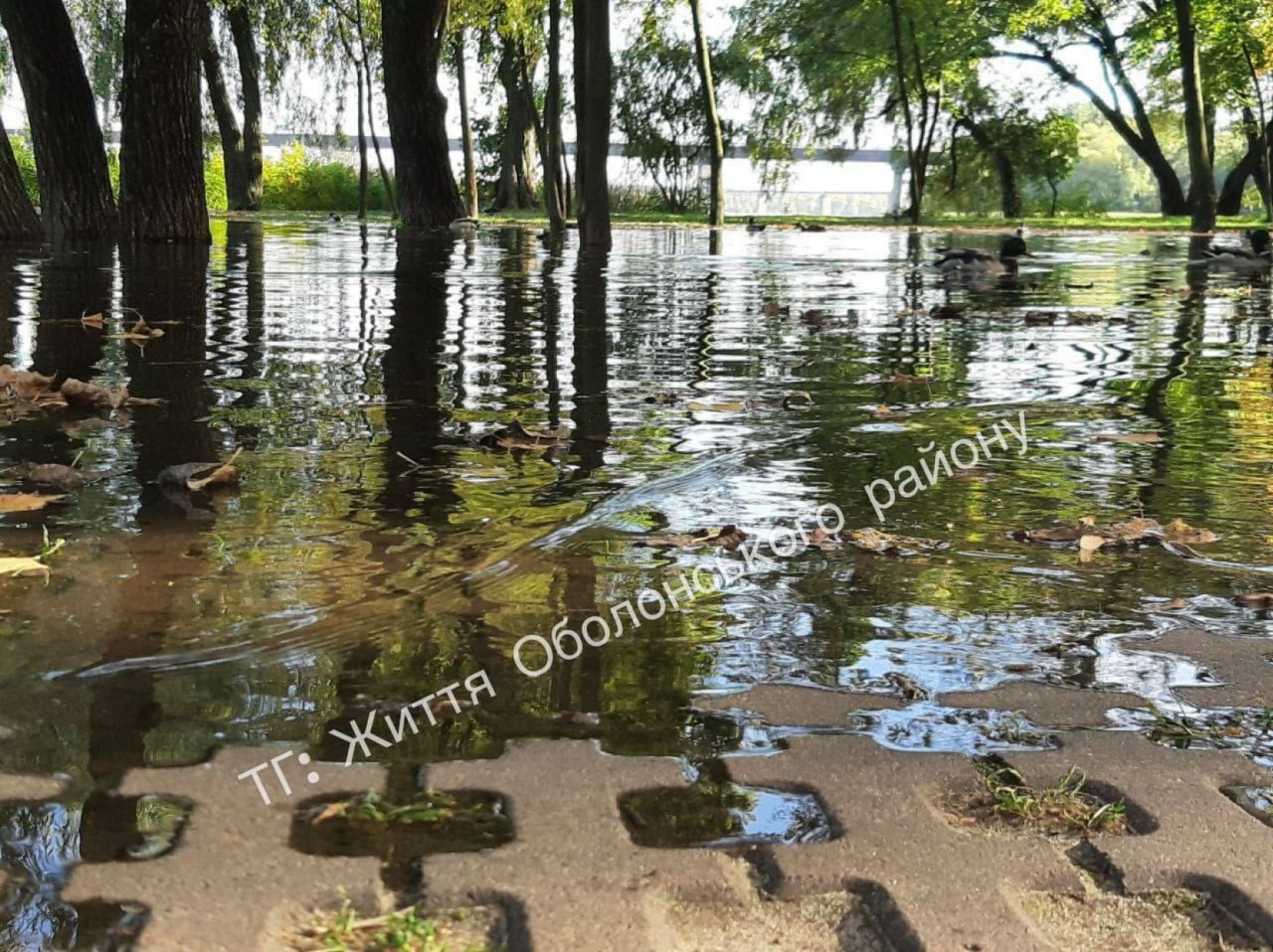  Так сейчас выглядит Днепр в Киеве на Оболони после того, как в реке поднялся уровень воды