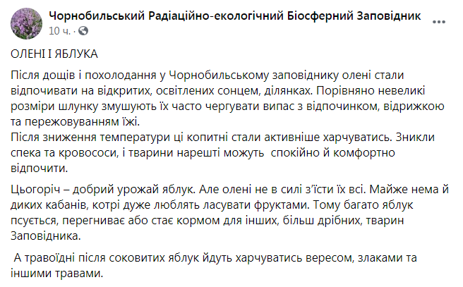 Скриншот из Фейсбука Чернобыльского заповедника 