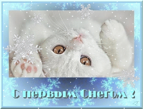 с первым снегом стих