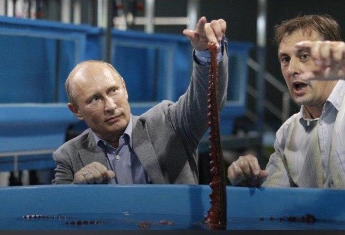 Фото: 20.kremlin.ru