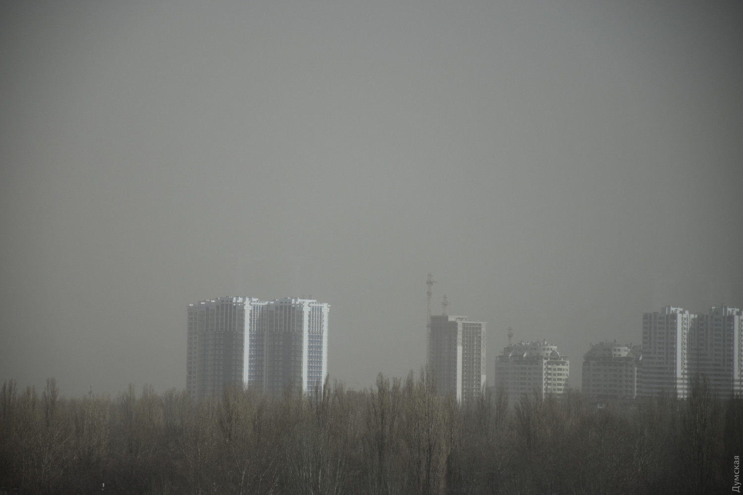 Фото: dumskaya.net