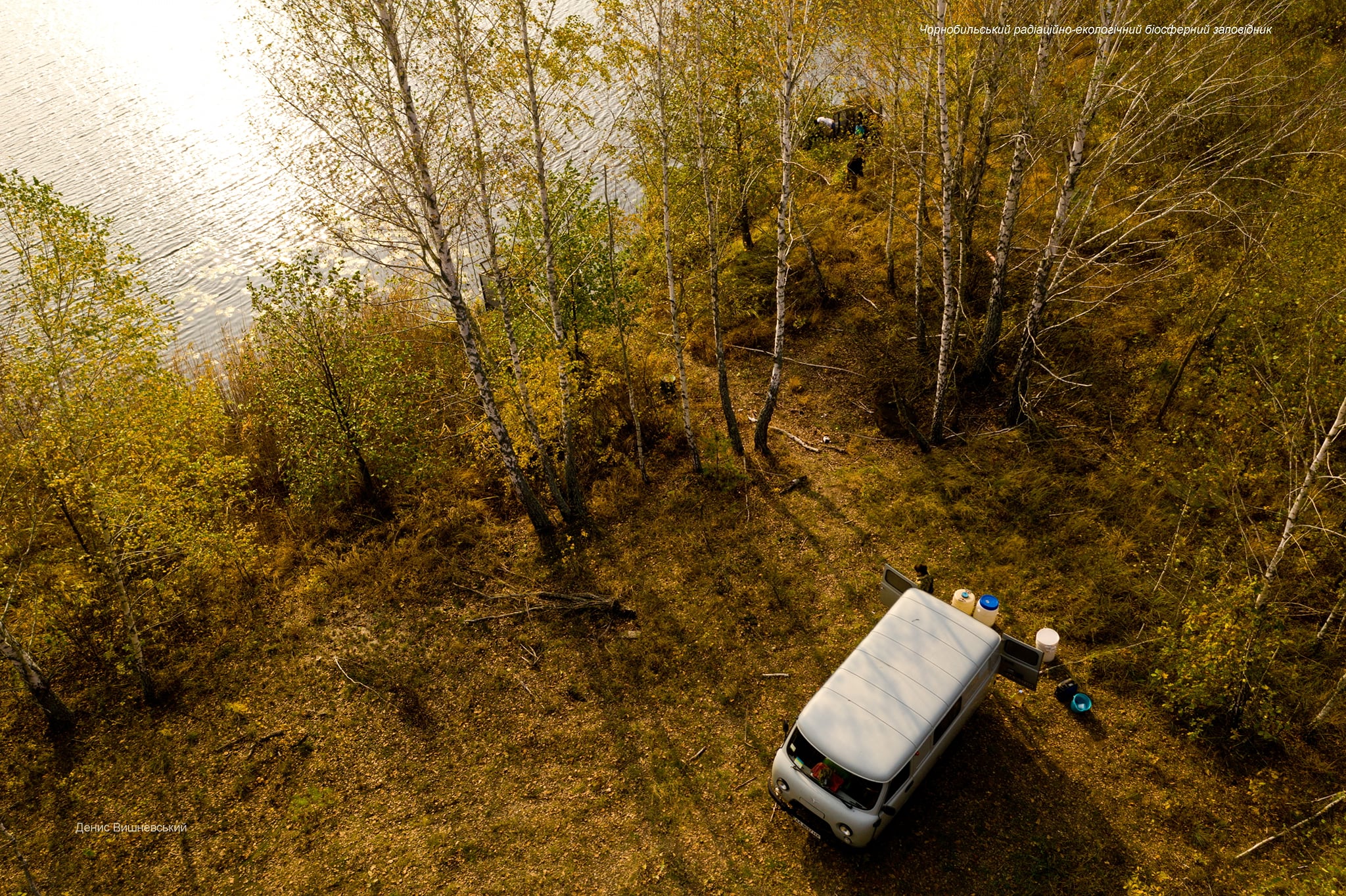 Рыбы Чернобыльского заповедника