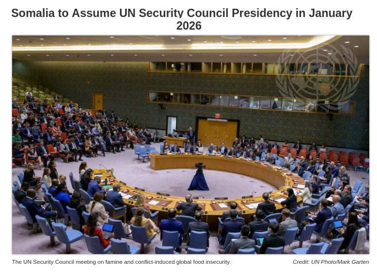 Знімок заголовка на allafrica.com - Сомалі очолить Раду Безпеки ООН у 2026 році